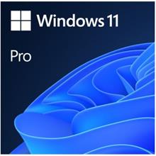 Windows 11 Pro İngilizce Oem (64 Bit) Fqc-10528 